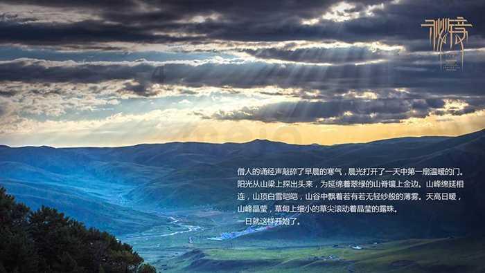 白化摇篮曲